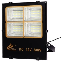 پروژکتور سیار CAICAI CC1907 LED 80W