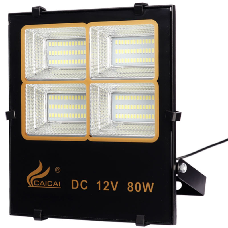 پروژکتور سیار CAICAI CC1907 LED 80W