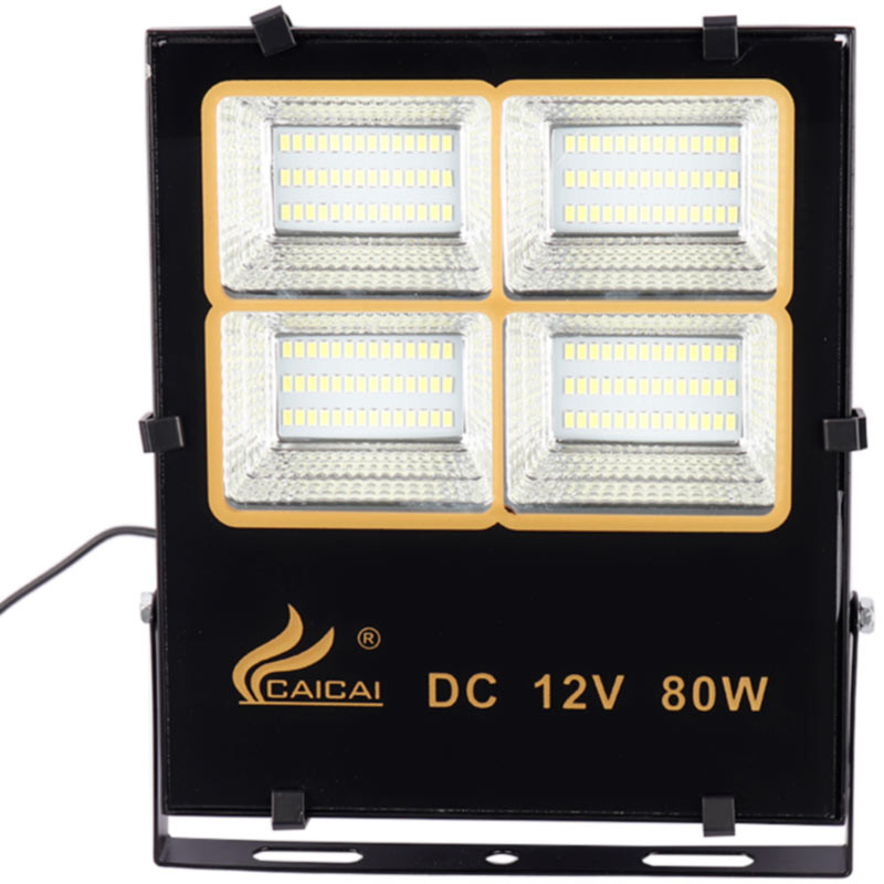 پروژکتور سیار CAICAI CC1907 LED 80W