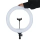 رینگ لایت “Ring Fill Light YQ-420B 16