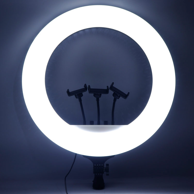 رینگ لایت "LED Soft RL-21B 21