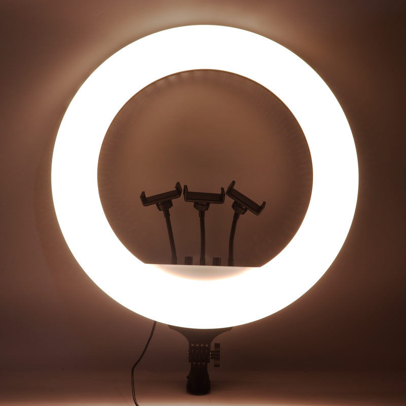 رینگ لایت "LED Soft RL-21B 21