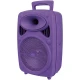 اسپیکر بلوتوثی رم و فلش خور Greatnice GTS-1950 + میکروفون