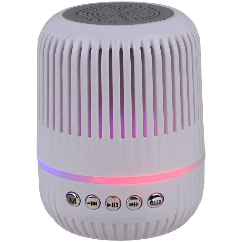 اسپیکر بلوتوثی رم و فلش خور Axtive Mini M4