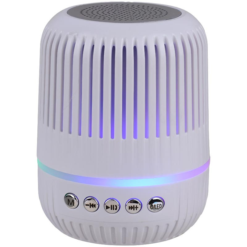 اسپیکر بلوتوثی رم و فلش خور Axtive Mini M4