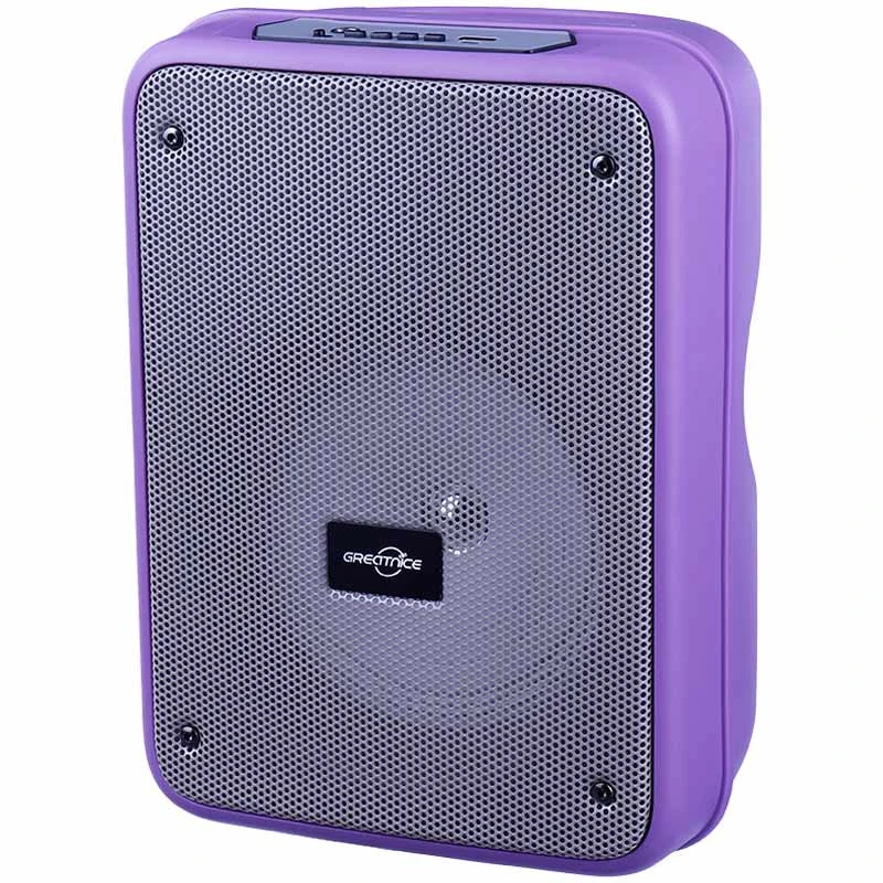 اسپیکر بلوتوثی رم و فلش خور Greatnice GTS-1996 + میکروفون