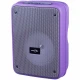 اسپیکر بلوتوثی رم و فلش خور Greatnice GTS-1996 + میکروفون