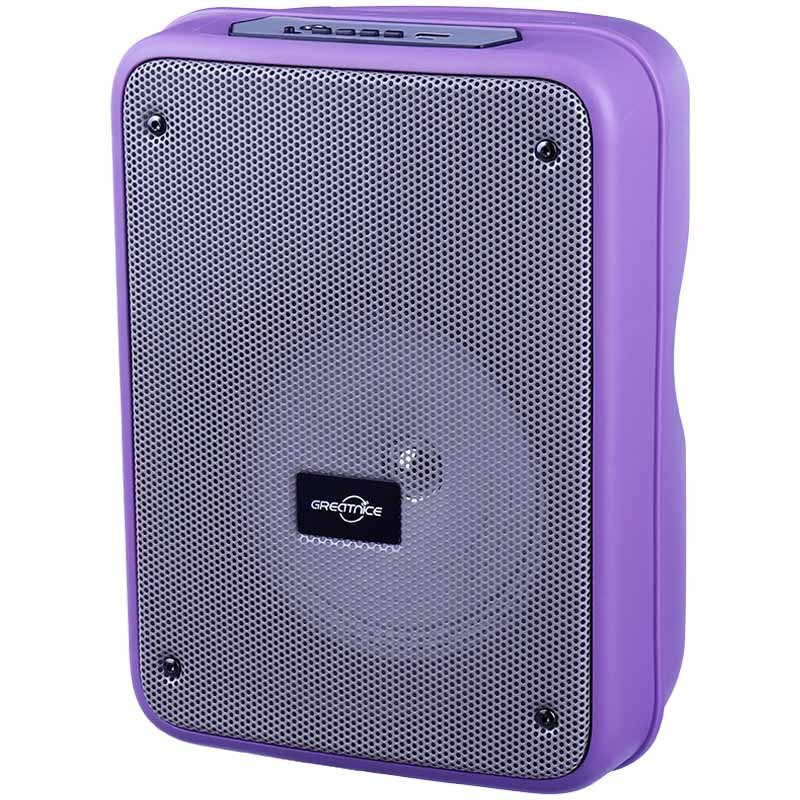 اسپیکر بلوتوثی رم و فلش خور Greatnice GTS-1996 + میکروفون