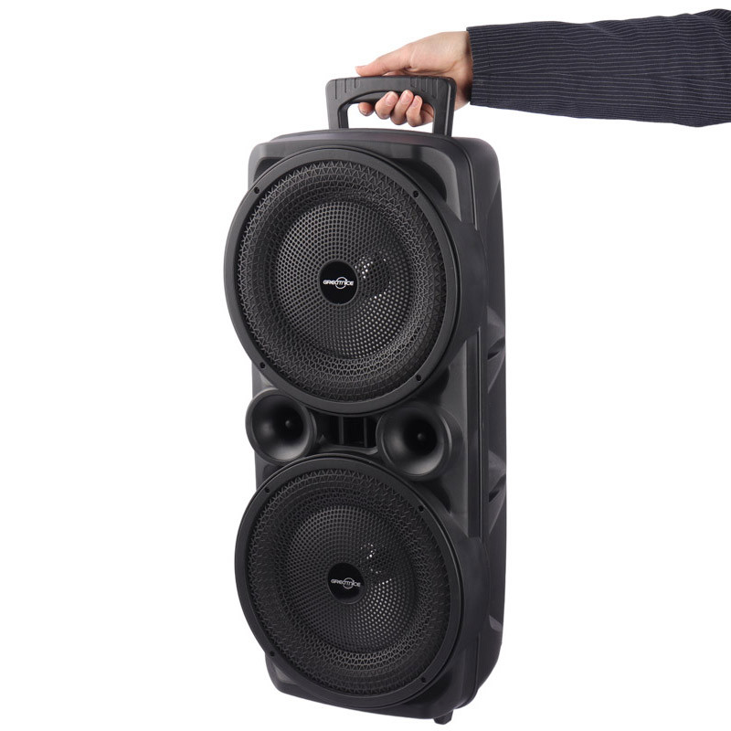 اسپیکر چمدانی بلوتوثی گریت نایس GTS-1569 + میکروفون