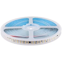 ریسه شلنگی 20 متری AC220V