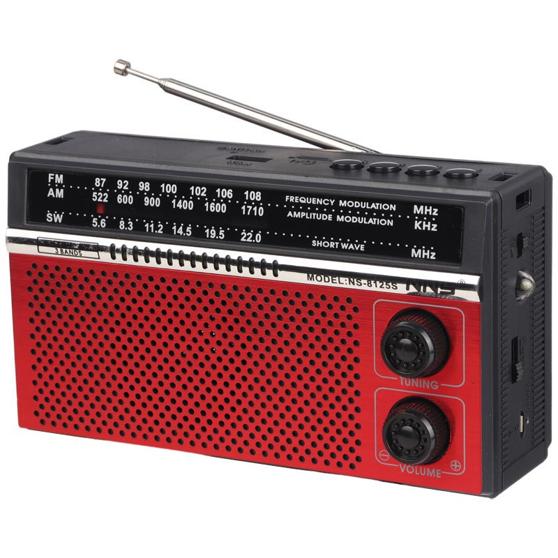 رادیو اسپیکر بلوتوثی رم و فلش خور خورشیدی NNS NS-8125S