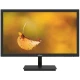 مانیتور داهوا DHI-LM19-L200 سایز 19.5 اینچ