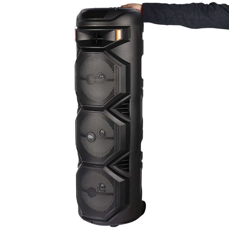 اسپیکر چمدانی بلوتوثی رم و فلش خور Sing-E ZQS8301 + میکروفون و ریموت کنترل