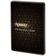حافظه SSD اپیسر Apacer AS340X 240GB