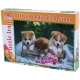 پازل 300 تکه Puzzle Iran