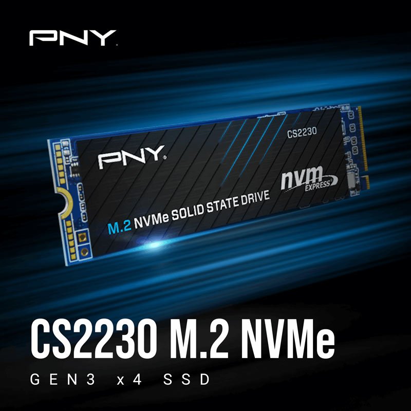 حافظه SSD پی ان وای PNY CS2230 500GB M.2