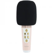 میکروفون و اسپیکر Earldom ET-MC6