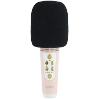 میکروفون و اسپیکر Earldom ET-MC6
