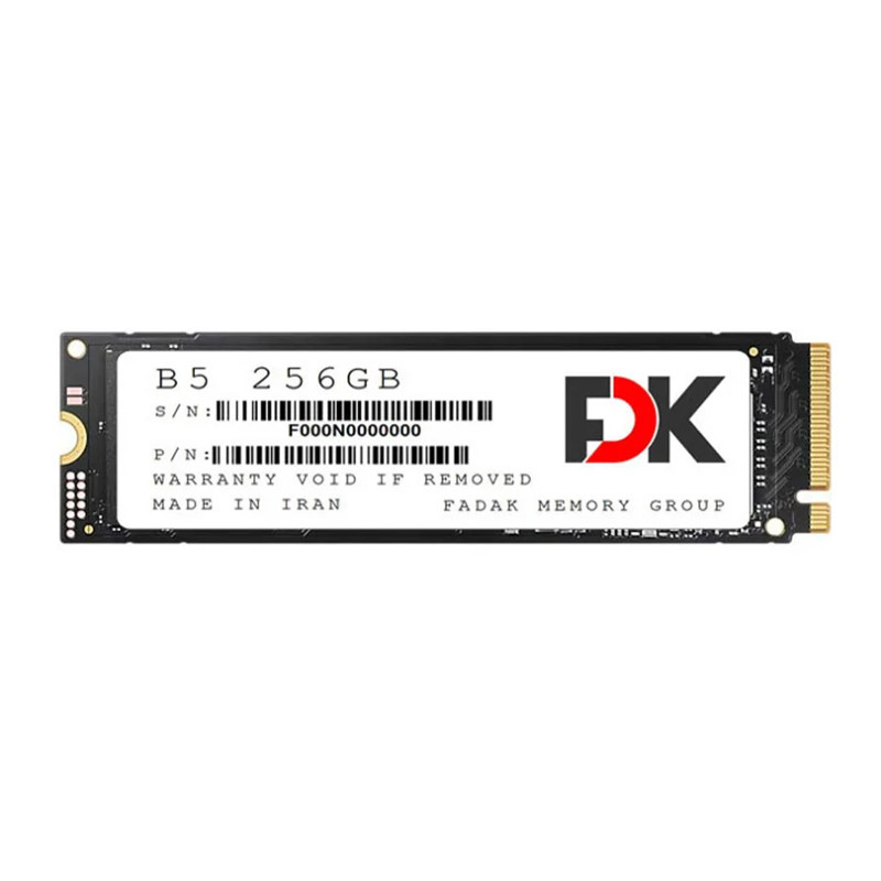 حافظه SSD فدک FDK B5 256GB M.2