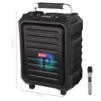 اسپیکر چمدانی بلوتوثی رم و فلش خور ProOne PSB4921 + میکروفون