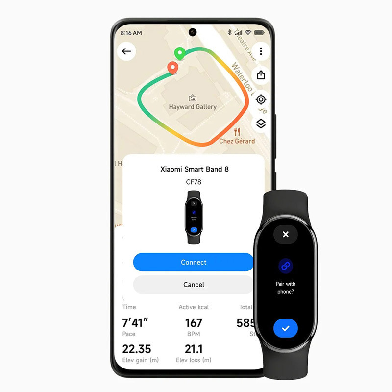 دستبند سلامتی شیائومی نسخه گلوبال Xiaomi Mi Band 8 M2239B1