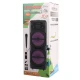 اسپیکر چمدانی بلوتوثی رم و فلش خور Sing-E ZQS-8202S + میکروفون و ریموت کنترل