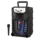 اسپیکر بلوتوثی رم و فلش خور Sing-E ZQS6142 + میکروفون