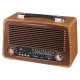 رادیو اسپیکر بلوتوثی رم و فلش خور Raiseng R-3299BT