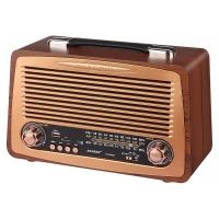 رادیو اسپیکر بلوتوثی رم و فلش خور Raiseng R-3299BT