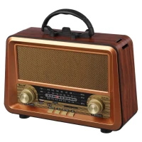 رادیو اسپیکر بلوتوثی رم و فلش خور Golon RX-BT1006