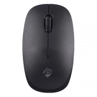 موس بی سیم R10