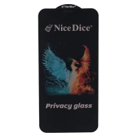 گلس پرایوسی Nice Dice آیفون 11