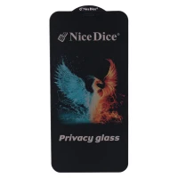 گلس پرایوسی Nice Dice آیفون XR