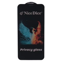 گلس پرایوسی Nice Dice آیفون XS