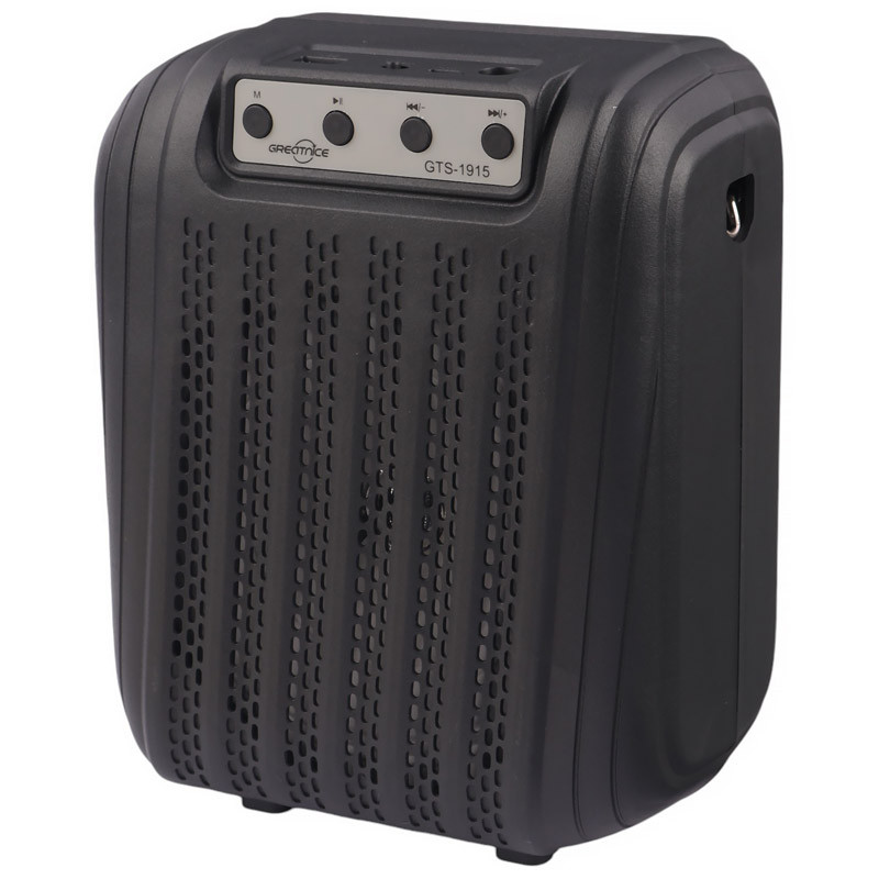 اسپیکر بلوتوثی گریت نایس GTS-1915 + میکروفون