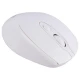 موس بی سیم R8 1713