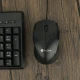 موس پرووان PMC55