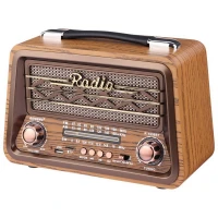 رادیو اسپیکر بلوتوثی رم و فلش خور Raiseng R-1956BT