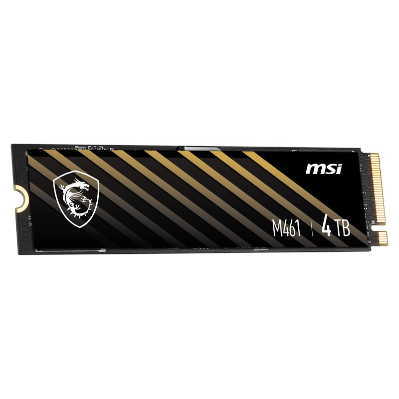 حافظه SSD ام اس آی MSI Spatium M461 4TB M.2