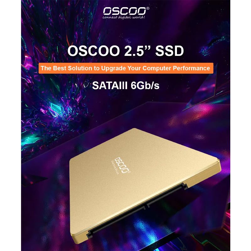 حافظه SSD اوسکو Oscoo GOLD 001 512GB