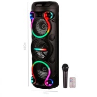 اسپیکر چمدانی بلوتوثی سینگ ای ZQS6302 + میکروفون و ریموت کنترل