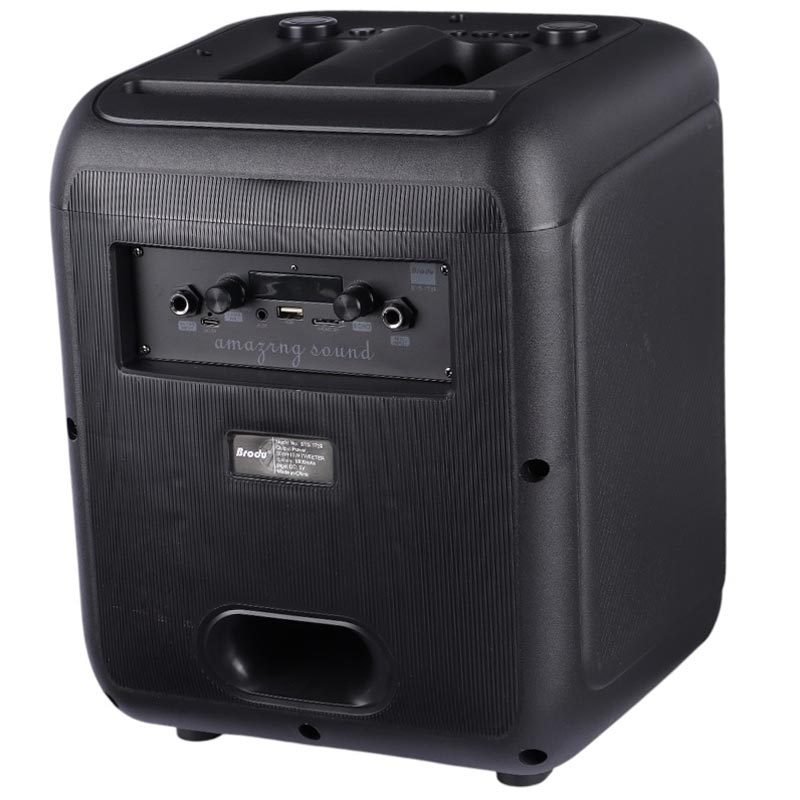 اسپیکر چمدانی بلوتوثی برودو BTS-1739 + میکروفون
