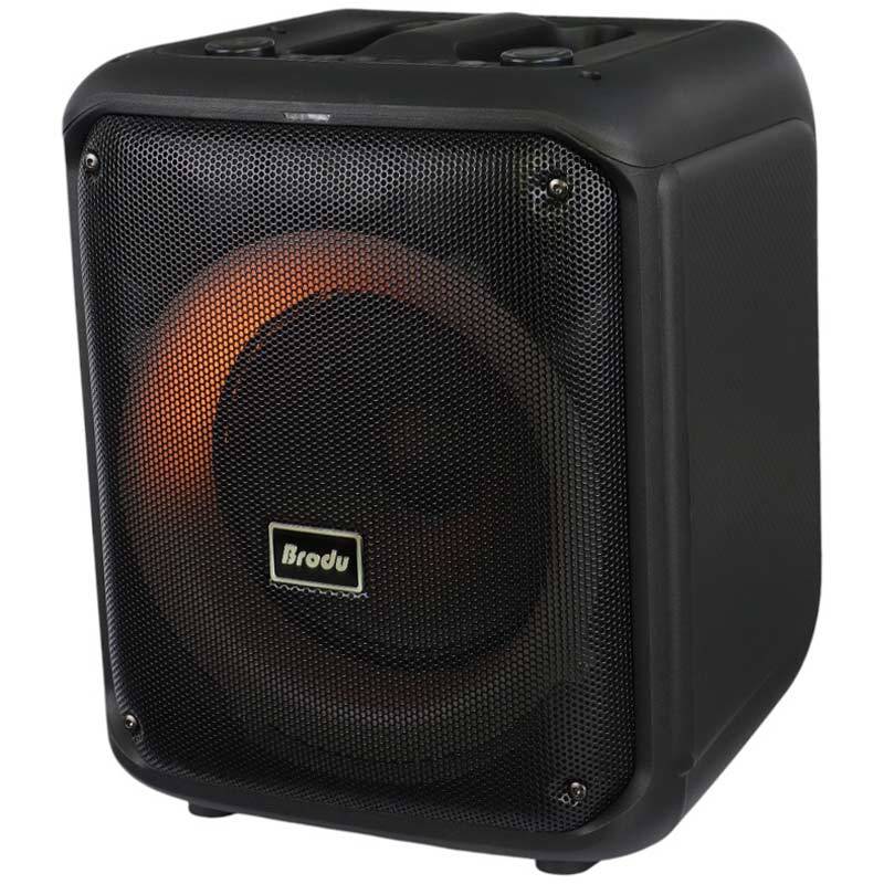اسپیکر چمدانی بلوتوثی برودو BTS-1739 + میکروفون