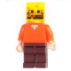 لگو Pinba Minecraft کد 0299E بسته 6 عددی