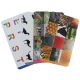 بازی فکری آنکیت 120 تکه Animals And Fruits