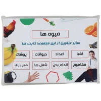 فلش کارت آموزشی بزرگ میوه ها دراگون بسته 18 عددی