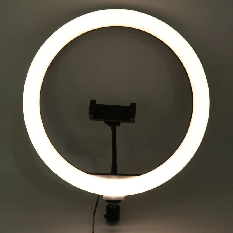 رینگ لایت 13 اینچ Ring Fill Light BD-330