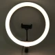 رینگ لایت 13 اینچ Ring Fill Light BD-330