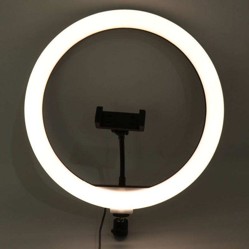 رینگ لایت 13 اینچ Ring Fill Light BD-330