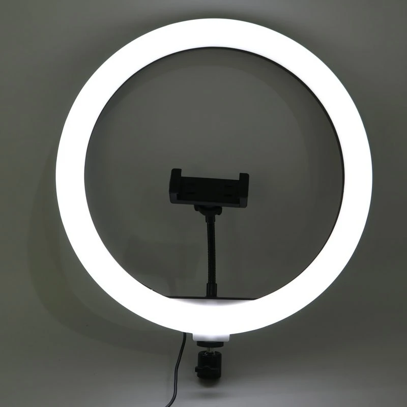 رینگ لایت 13 اینچ Ring Fill Light BD-330